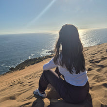 Cargar imagen en el visor de la galería, VIÑA DEL MAR Y VALPARAISO