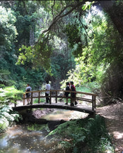 Cargar imagen en el visor de la galería, PARQUE TRICAO
