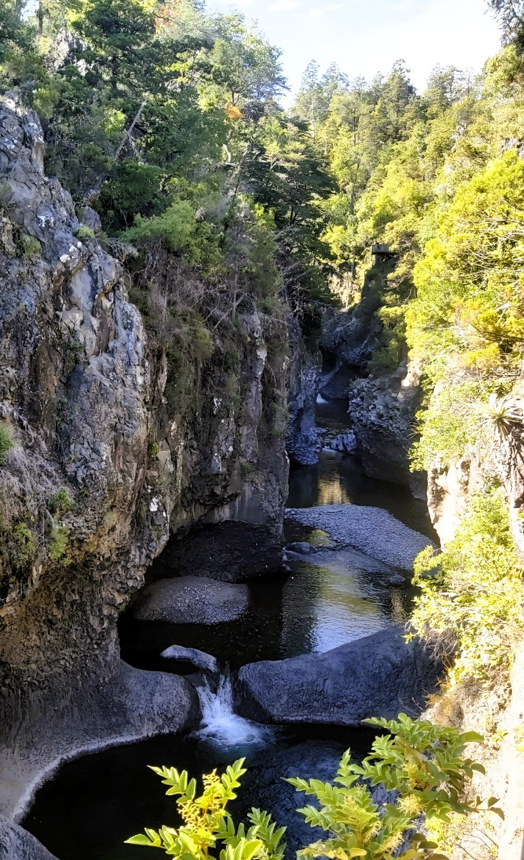 RADAL 7 TAZAS + PARQUE INGLES