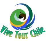 Vive Tour Chile