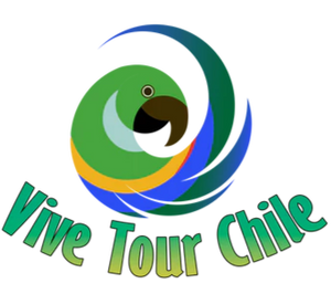 Vive Tour Chile